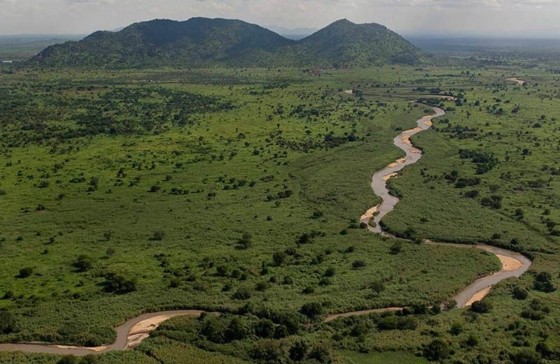 African Parks to manage South Sudan parks - Travel News, Insights & Resources.