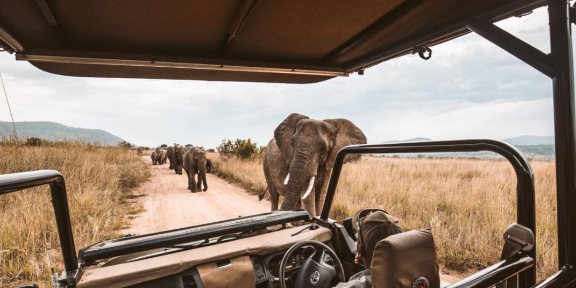 Explore South Africas national parks - Travel News, Insights & Resources.