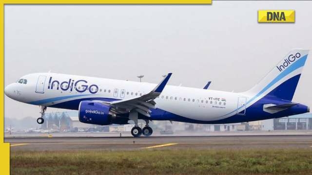 IndiGo update Pieter Elbers is appointed CEO of IndiGo - Travel News, Insights & Resources.