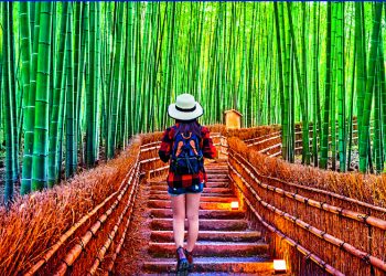 Visa free trips to Japan returning - Travel News, Insights & Resources.