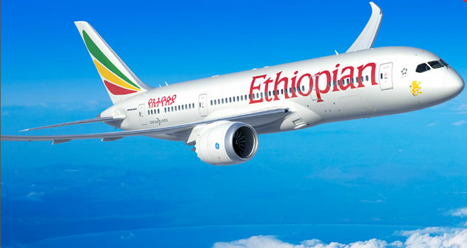 1667007956 Domestic operators reject Ethiopian Airlines as national carrier - Travel News, Insights & Resources.