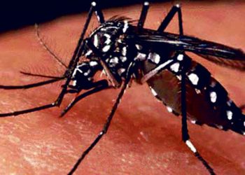 1667018548 ICJ urges Nepal to urgently address the dengue outbreak - Travel News, Insights & Resources.