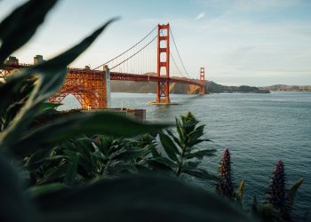 A local guide to 3 perfect days in San Francisco - Travel News, Insights & Resources.