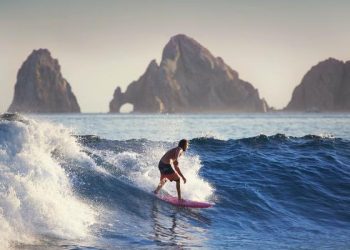 Baja California Sur Promotes Sustainable and Regenerative Tourism - Travel News, Insights & Resources.