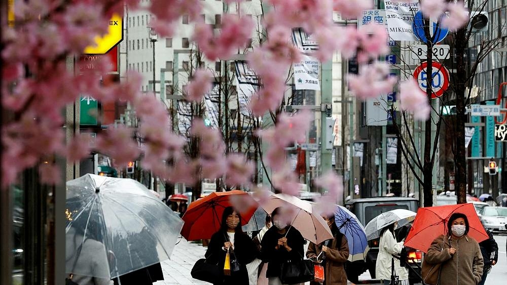 Japan has reopened but tourists find its not ready to - Travel News, Insights & Resources.