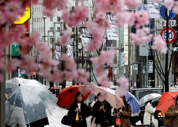 Japan has reopened but tourists find its not ready to - Travel News, Insights & Resources.