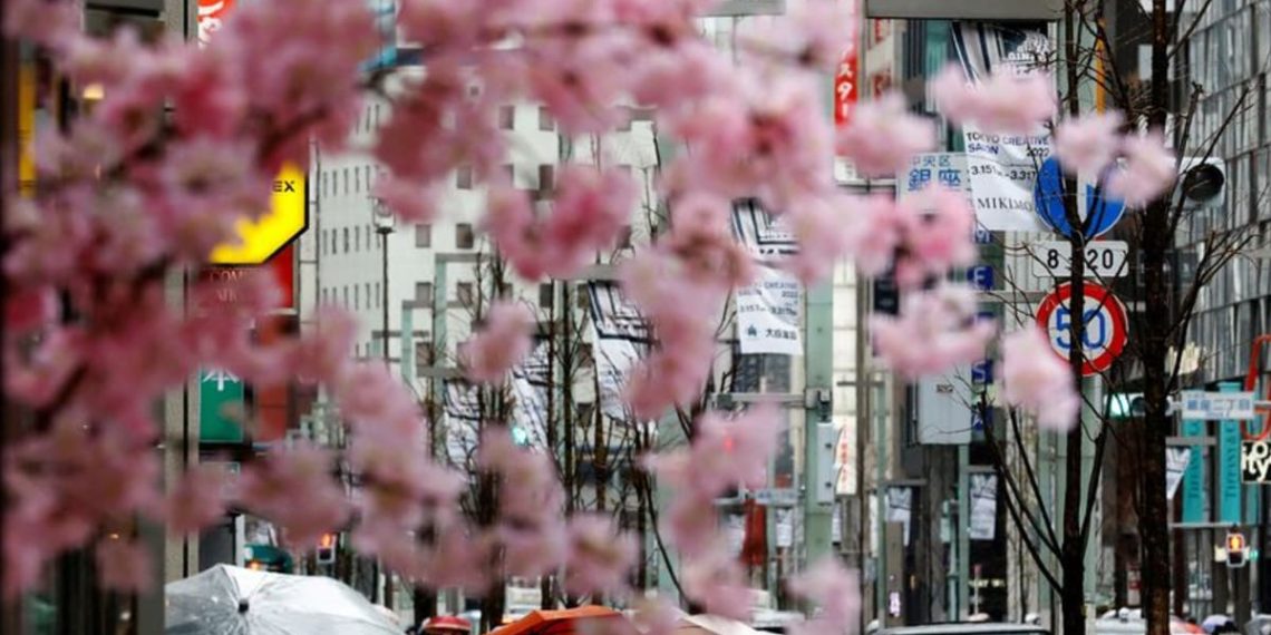 Japan reopens to tourists with shuttered souvenir shops hotel staff - Travel News, Insights & Resources.