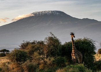 Kenya launches European phase of marketing campaign - Travel News, Insights & Resources.