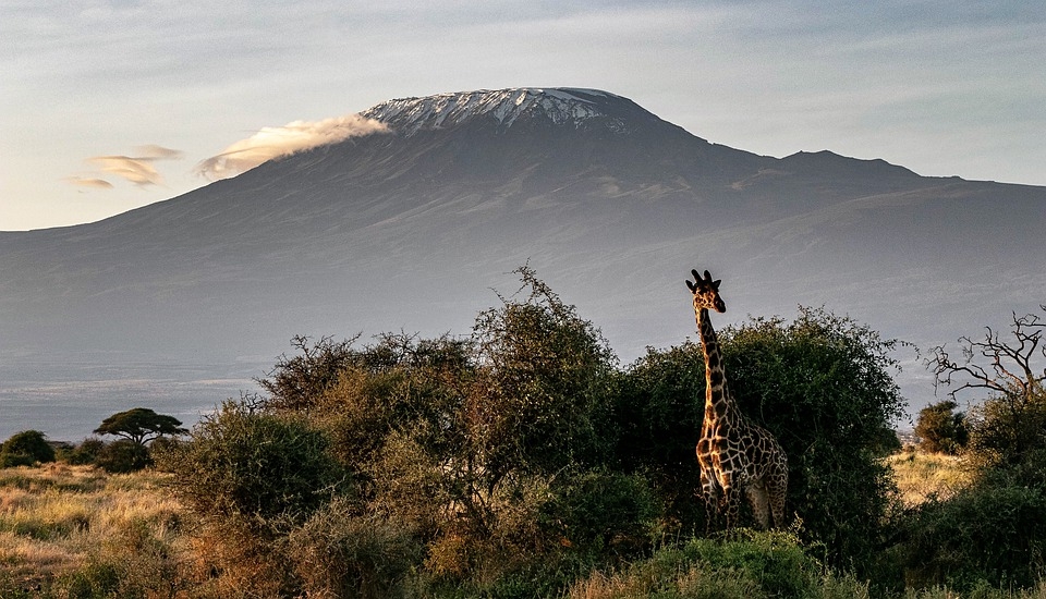 Kenya launches European phase of marketing campaign - Travel News, Insights & Resources.