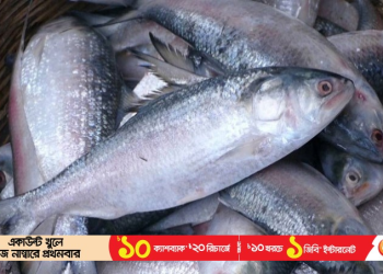 Legal notice asks govt to ban Hilsa export to India - Travel News, Insights & Resources.