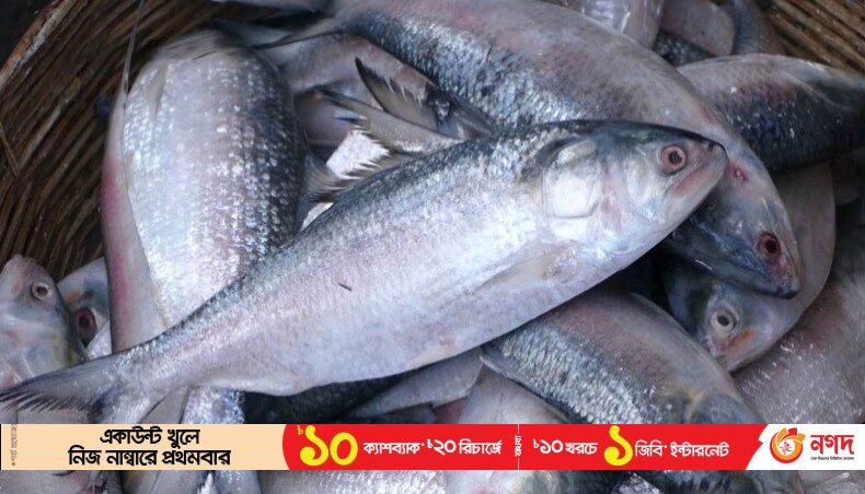 Legal notice asks govt to ban Hilsa export to India - Travel News, Insights & Resources.