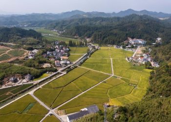 Rural tourism vitalizes town in East Chinas Zhejiang province - Travel News, Insights & Resources.