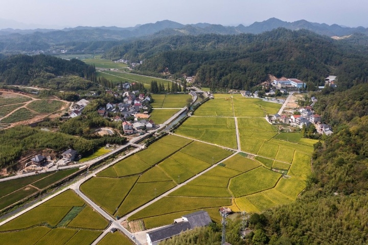 Rural tourism vitalizes town in East Chinas Zhejiang province - Travel News, Insights & Resources.