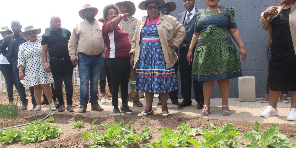 South Africa Agriculture Dept hosts Provincial World Food Day - Travel News, Insights & Resources.