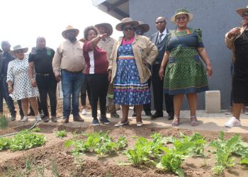 South Africa Agriculture Dept hosts Provincial World Food Day - Travel News, Insights & Resources.