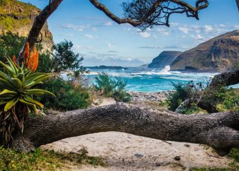 South Africa Beach Destinations for 2022 - Travel News, Insights & Resources.