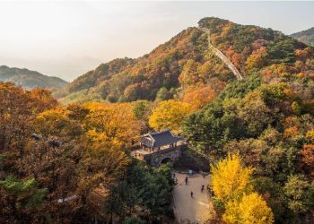 South Korea lifts all COVID Travel Restrictions - Travel News, Insights & Resources.