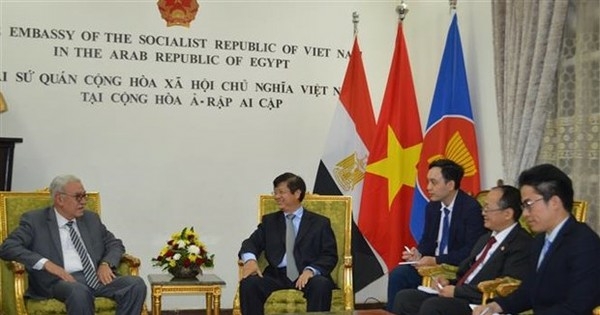 Vietnam Egypt forge multi faceted cooperation - Travel News, Insights & Resources.