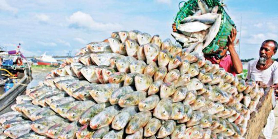 Writ filed seeking ban on hilsa export to India - Travel News, Insights & Resources.