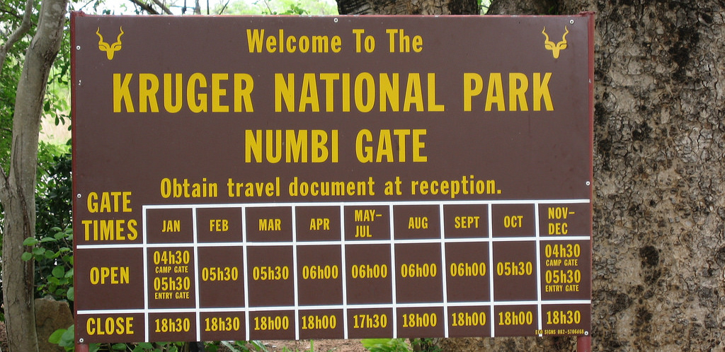 ‘Numbi Gate not closed at this stage - Travel News, Insights & Resources.