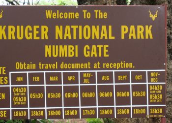 ‘Numbi Gate not closed at this stage - Travel News, Insights & Resources.