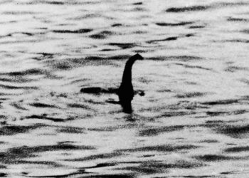 How Nessie and the Yeti birthed a global cryptid chasing industry - Travel News, Insights & Resources.