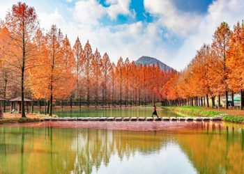 Korea Tourism Organization Announces Winners of Photo Competition Be - Travel News, Insights & Resources.