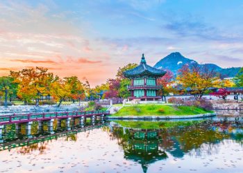 Medical travel to South Korea is recovering LaingBuisson News - Travel News, Insights & Resources.