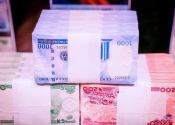 Nigeria launches new Naira notes to mop up counterfeits - Travel News, Insights & Resources.