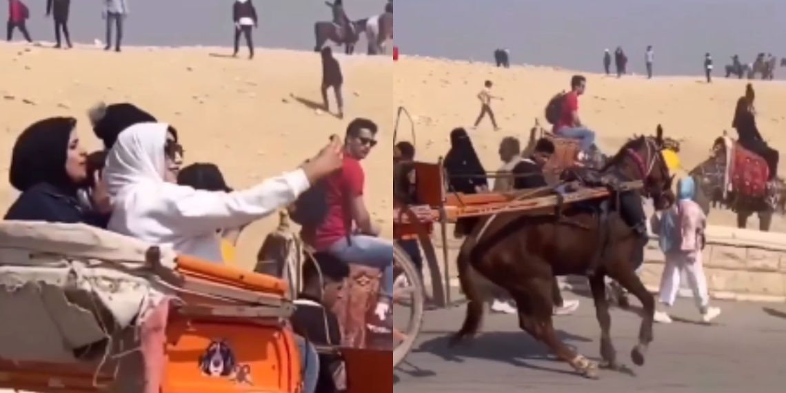 Egyptian women take selfies while horse struggles for life netizens - Travel News, Insights & Resources.