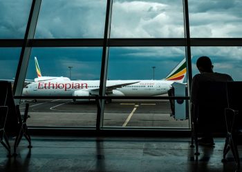 Ethiopian Airlines Plans to Double Fleet to Take Fight to - Travel News, Insights & Resources.