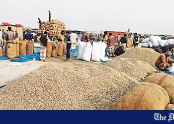 Farmers frustrated by poor price of peanuts - Travel News, Insights & Resources.