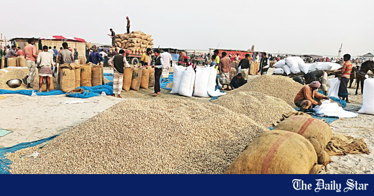 Farmers frustrated by poor price of peanuts - Travel News, Insights & Resources.