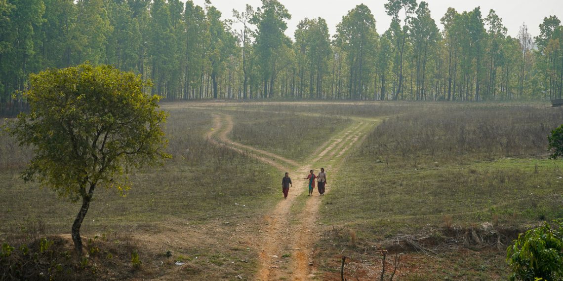 Growing human wildlife conflict in Nepal A long road to relief - Travel News, Insights & Resources.