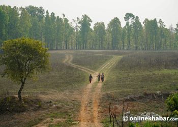 Growing human wildlife conflict in Nepal A long road to relief - Travel News, Insights & Resources.