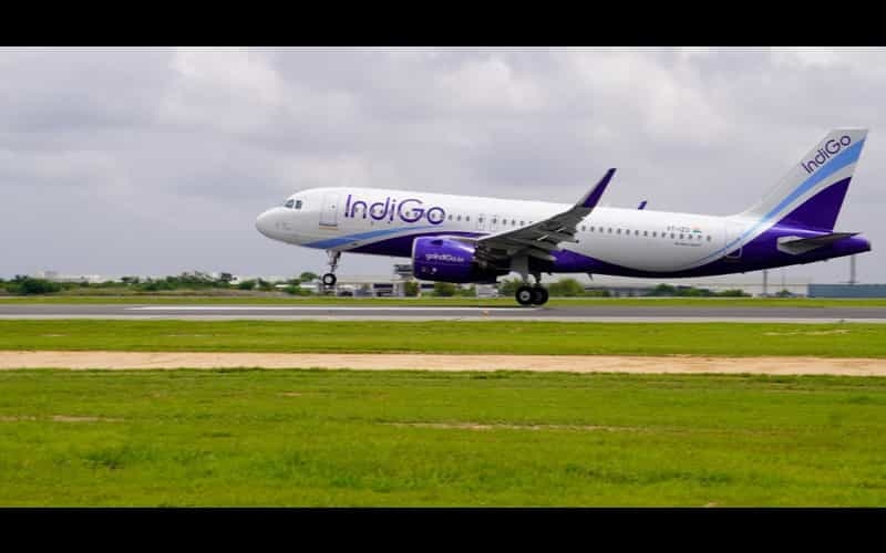 Gwalior to Mumbai flight IndiGo launches direct flight to boost - Travel News, Insights & Resources.