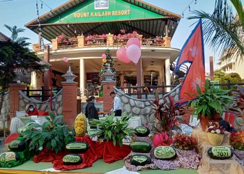 HED Pokhara Street Festival to kick off next week - Travel News, Insights & Resources.