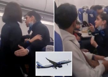 IndiGo flight attendant tells passenger ‘I am not your servant - Travel News, Insights & Resources.