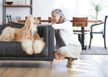 Marriott Makes it Easier to Find Pet Friendly Accommodation - Travel News, Insights & Resources.