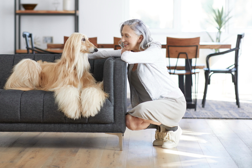 Marriott Makes it Easier to Find Pet Friendly Accommodation - Travel News, Insights & Resources.