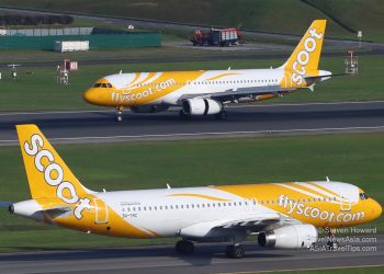 Scoot Joins IATA - Travel News, Insights & Resources.