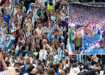 Topless Argentina fan faces jail after she stripped off in - Travel News, Insights & Resources.