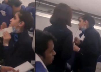 Viral Video IndiGo Air Hostess Says I Am Not Your - Travel News, Insights & Resources.