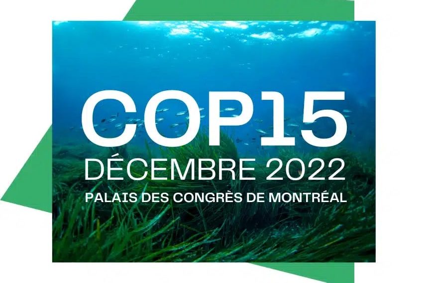 WTTC UNWTO Sustainable Hospitality Alliance partner at COP15 eTurboNews - Travel News, Insights & Resources.