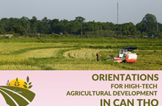 Orientations for high-tech agricultural development in Can Tho