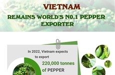 Vietnam remains world's No.1 pepper exporter