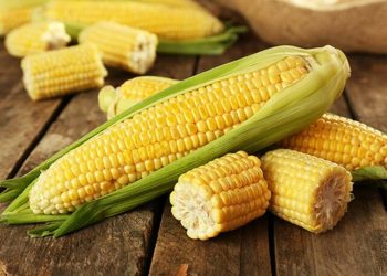 CBOT corn may drop towards 657 - Travel News, Insights & Resources.