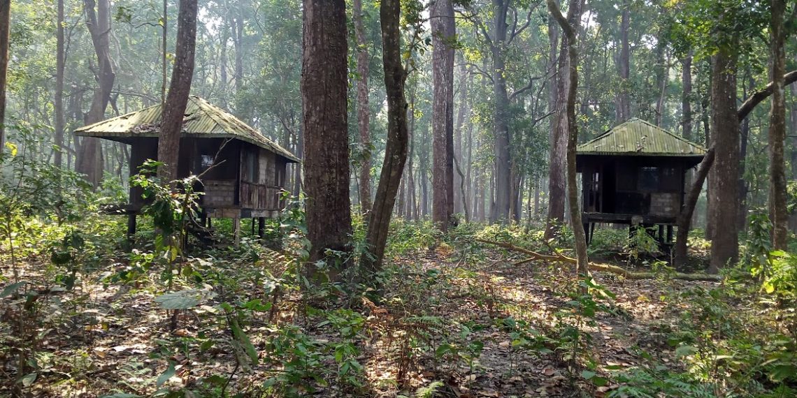 Crumbling jungle villas hark back to golden safari era - Travel News, Insights & Resources.