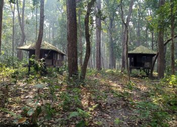 Crumbling jungle villas hark back to golden safari era - Travel News, Insights & Resources.