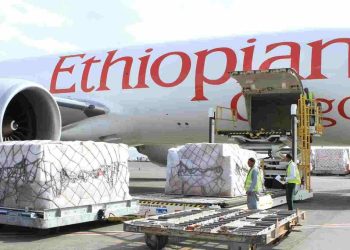 Ethiopian Airlines carries 750000 tonnes of cargo in 2022 - Travel News, Insights & Resources.